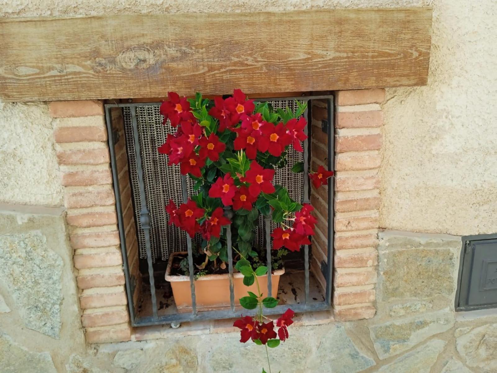 דירות La Vilella Baixa Cal Tom מראה חיצוני תמונה